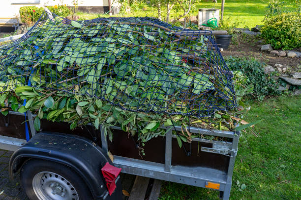 Best Mattress Disposal  in Laurel Hill, NC